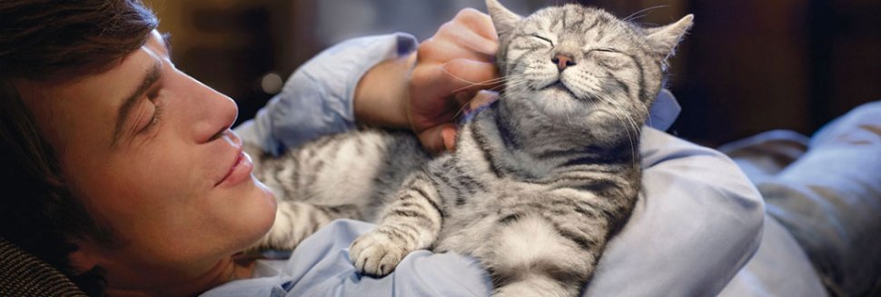 Internet Advertisements Free Of Charge